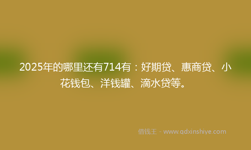 2025年的哪里还有714有：好期贷、惠商贷、小花钱包、洋钱罐、滴水贷等。