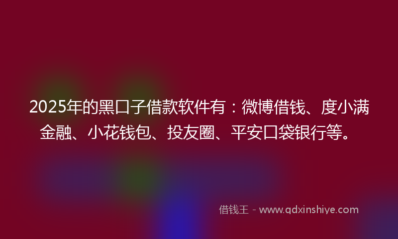 2025年的黑口子借款软件有：微博借钱、度小满金融、小花钱包、投友圈、平安口袋银行等。