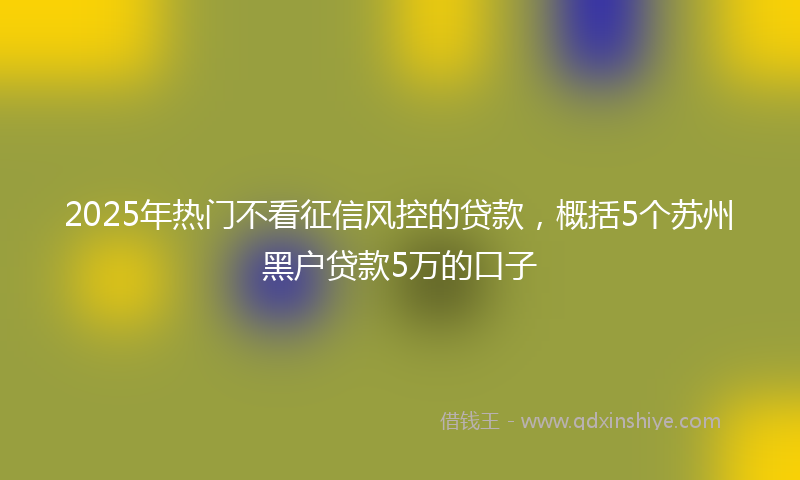2025年热门不看征信风控的贷款，概括5个苏州黑户贷款5万的口子