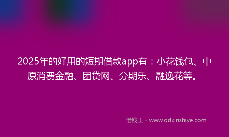 2025年的好用的短期借款app有：小花钱包、中原消费金融、团贷网、分期乐、融逸花等。