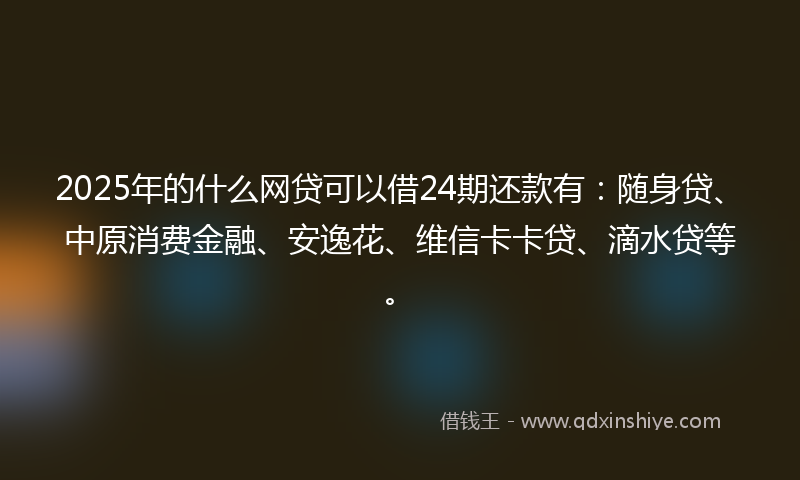 2025年的什么网贷可以借24期还款有：随身贷、中原消费金融、安逸花、维信卡卡贷、滴水贷等。