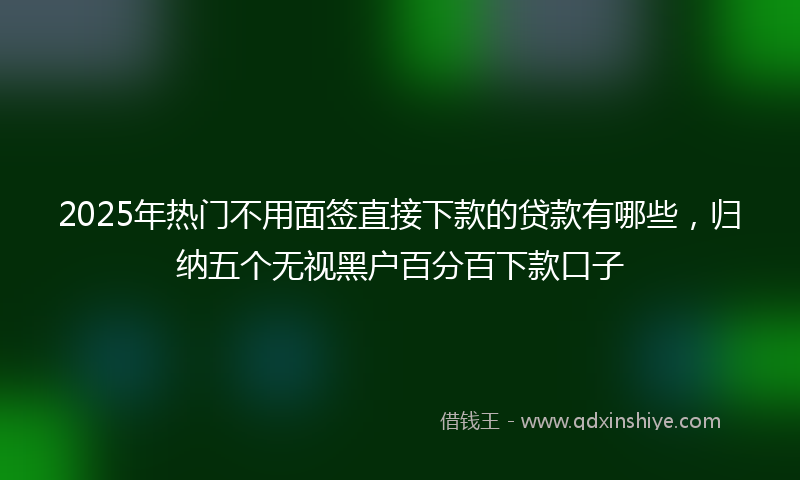 2025年热门不用面签直接下款的贷款有哪些，归纳五个无视黑户百分百下款口子