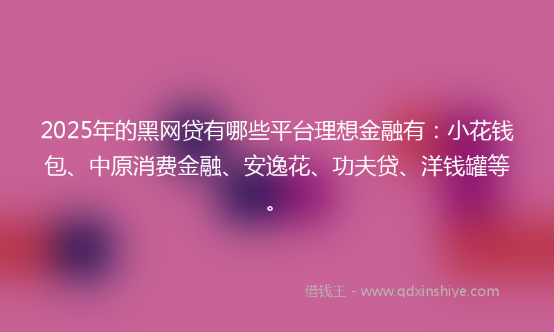 2025年的黑网贷有哪些平台理想金融有：小花钱包、中原消费金融、安逸花、功夫贷、洋钱罐等。