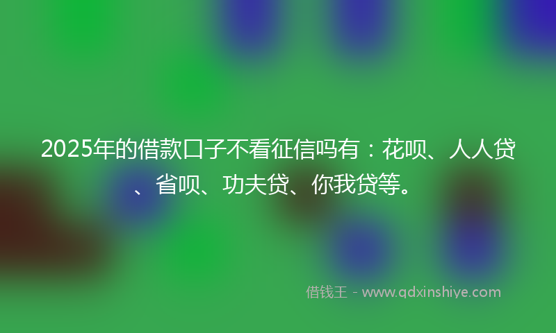 2025年的借款口子不看征信吗有：花呗、人人贷、省呗、功夫贷、你我贷等。