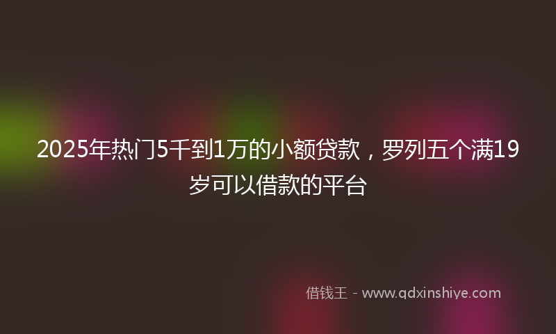 2025年热门5千到1万的小额贷款，罗列五个满19岁可以借款的平台