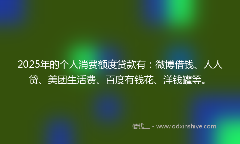 2025年的个人消费额度贷款有：微博借钱、人人贷、美团生活费、百度有钱花、洋钱罐等。