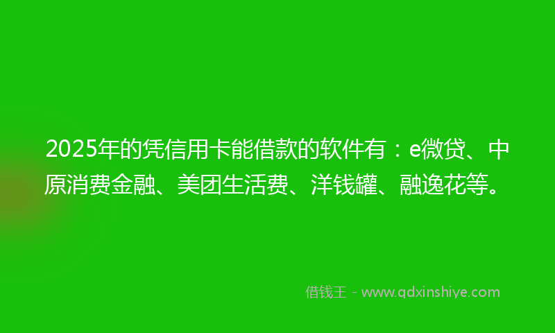 2025年的凭信用卡能借款的软件有：e微贷、中原消费金融、美团生活费、洋钱罐、融逸花等。