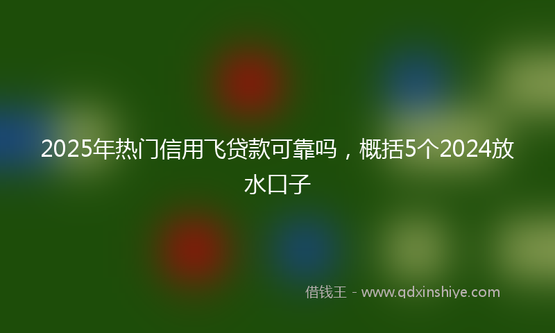 2025年热门信用飞贷款可靠吗，概括5个2024放水口子