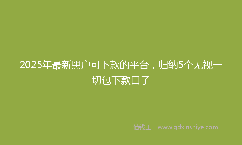 2025年最新黑户可下款的平台，归纳5个无视一切包下款口子