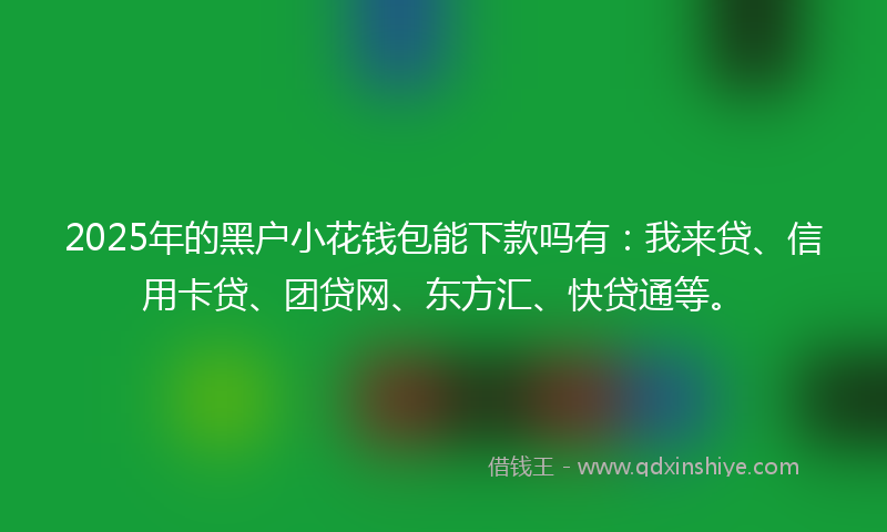 2025年的黑户小花钱包能下款吗有：我来贷、信用卡贷、团贷网、东方汇、快贷通等。