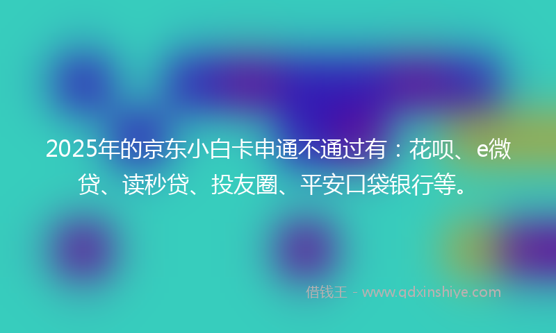 2025年的京东小白卡申通不通过有：花呗、e微贷、读秒贷、投友圈、平安口袋银行等。