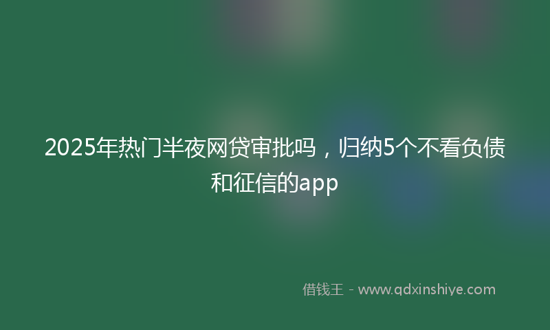 2025年热门半夜网贷审批吗，归纳5个不看负债和征信的app