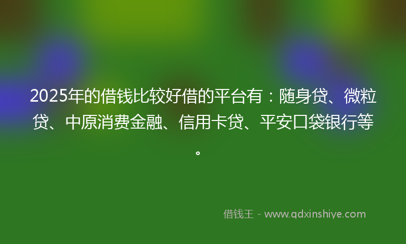 2025年的借钱比较好借的平台有：随身贷、微粒贷、中原消费金融、信用卡贷、平安口袋银行等。
