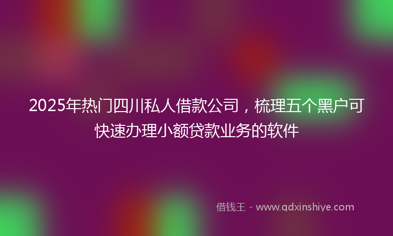 2025年热门四川私人借款公司，梳理五个黑户可快速办理小额贷款业务的软件