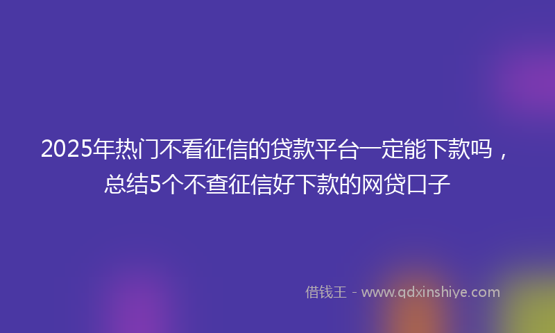 2025年热门不看征信的贷款平台一定能下款吗，总结5个不查征信好下款的网贷口子