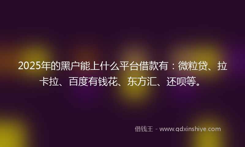 2025年的黑户能上什么平台借款有：微粒贷、拉卡拉、百度有钱花、东方汇、还呗等。