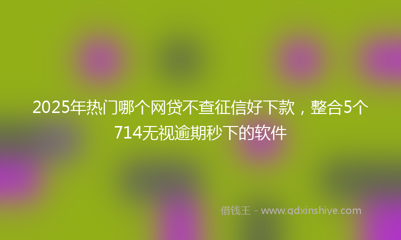 2025年热门哪个网贷不查征信好下款，整合5个714无视逾期秒下的软件