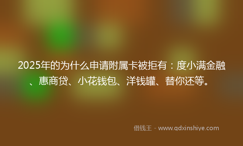 2025年的为什么申请附属卡被拒有：度小满金融、惠商贷、小花钱包、洋钱罐、替你还等。