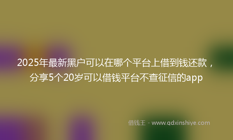 2025年最新黑户可以在哪个平台上借到钱还款，分享5个20岁可以借钱平台不查征信的app