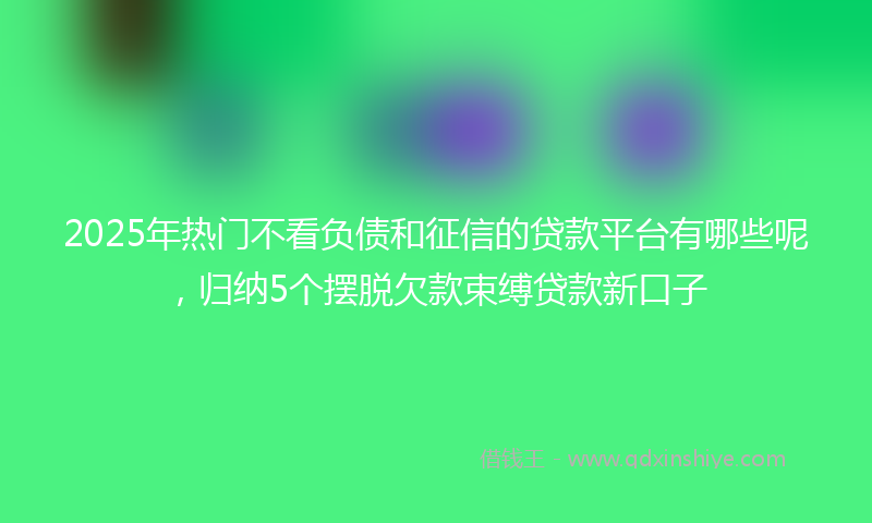 2025年热门不看负债和征信的贷款平台有哪些呢，归纳5个摆脱欠款束缚贷款新口子