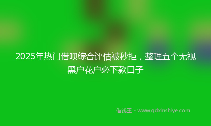 2025年热门借呗综合评估被秒拒，整理五个无视黑户花户必下款口子