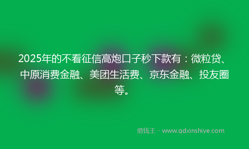 2025年的不看征信高炮口子秒下款有：微粒贷、中原消费金融、美团生活费、京东金融、投友圈等。