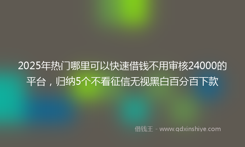 2025年热门哪里可以快速借钱不用审核24000的平台，归纳5个不看征信无视黑白百分百下款