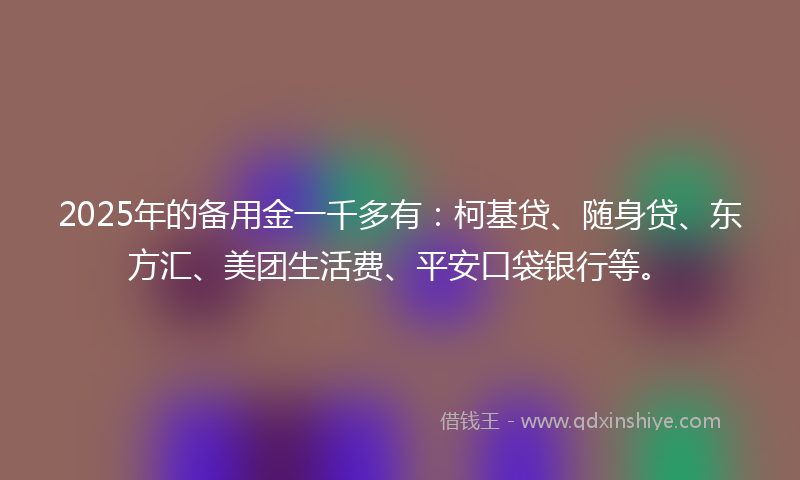 2025年的备用金一千多有：柯基贷、随身贷、东方汇、美团生活费、平安口袋银行等。