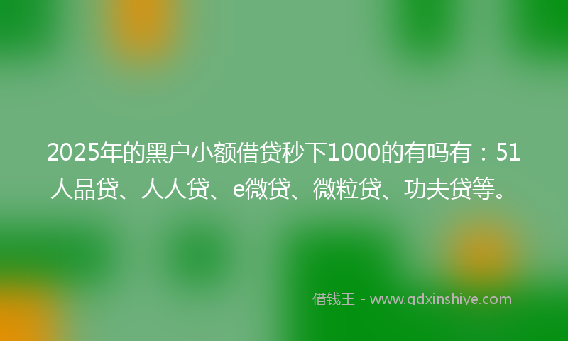 2025年的黑户小额借贷秒下1000的有吗有：51人品贷、人人贷、e微贷、微粒贷、功夫贷等。