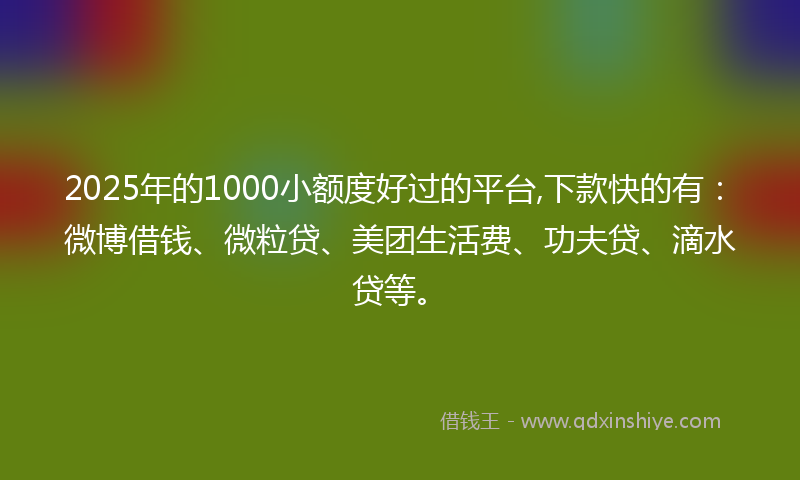 2025年的1000小额度好过的平台,下款快的有：微博借钱、微粒贷、美团生活费、功夫贷、滴水贷等。