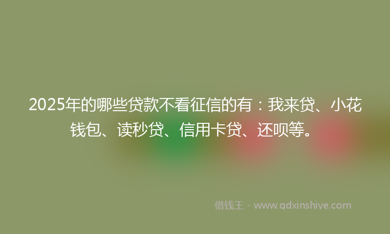 2025年的哪些贷款不看征信的有：我来贷、小花钱包、读秒贷、信用卡贷、还呗等。
