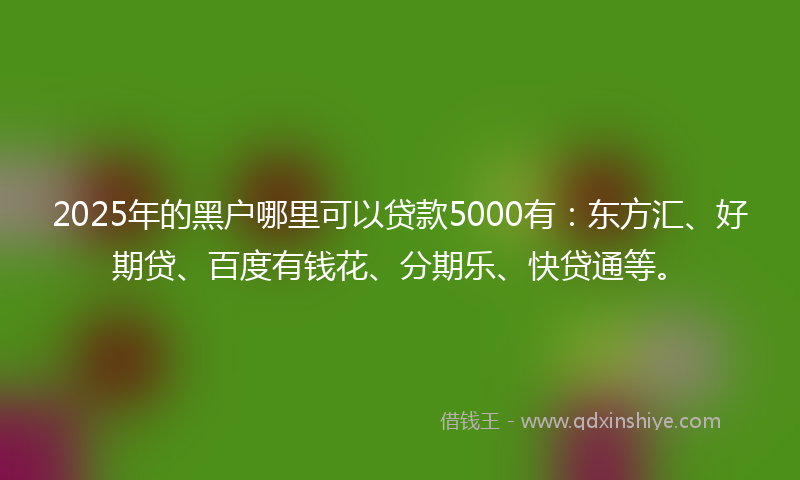 2025年的黑户哪里可以贷款5000有：东方汇、好期贷、百度有钱花、分期乐、快贷通等。