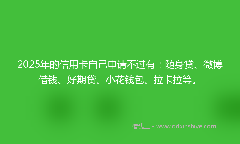 2025年的信用卡自己申请不过有：随身贷、微博借钱、好期贷、小花钱包、拉卡拉等。