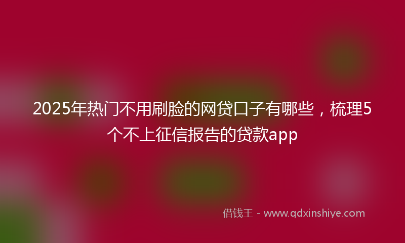 2025年热门不用刷脸的网贷口子有哪些，梳理5个不上征信报告的贷款app