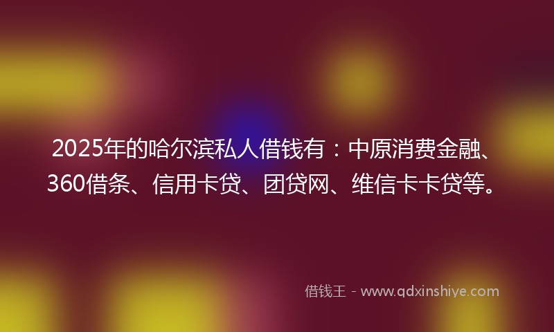 2025年的哈尔滨私人借钱有：中原消费金融、360借条、信用卡贷、团贷网、维信卡卡贷等。