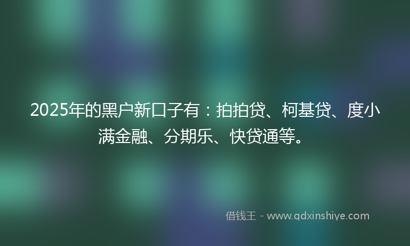 2025年的黑户新口子有：拍拍贷、柯基贷、度小满金融、分期乐、快贷通等。