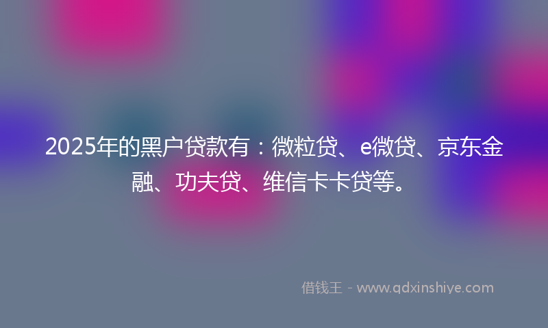 2025年的黑户贷款有：微粒贷、e微贷、京东金融、功夫贷、维信卡卡贷等。
