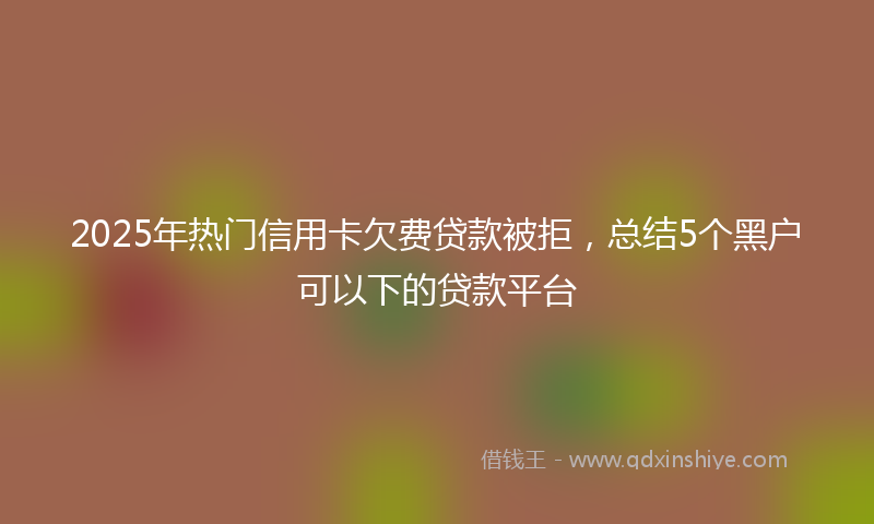 2025年热门信用卡欠费贷款被拒，总结5个黑户可以下的贷款平台