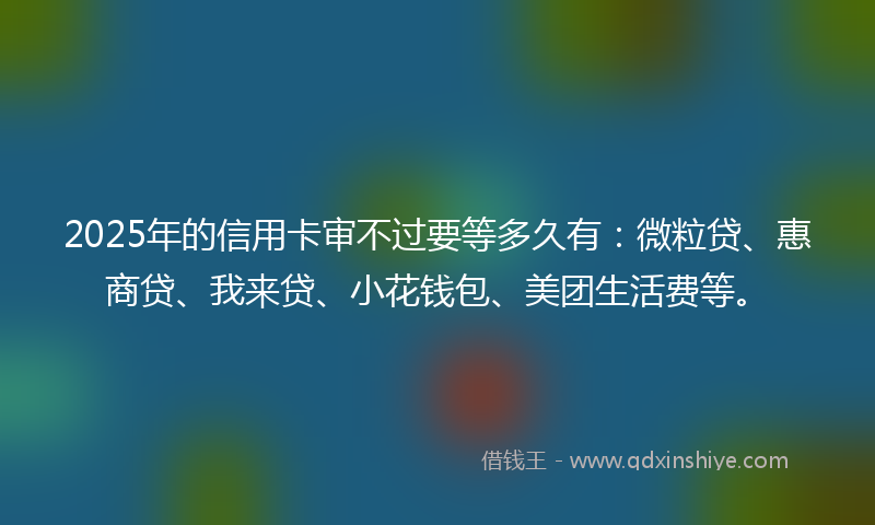 2025年的信用卡审不过要等多久有：微粒贷、惠商贷、我来贷、小花钱包、美团生活费等。