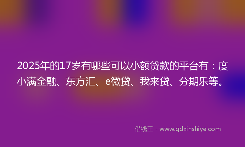 2025年的17岁有哪些可以小额贷款的平台有：度小满金融、东方汇、e微贷、我来贷、分期乐等。