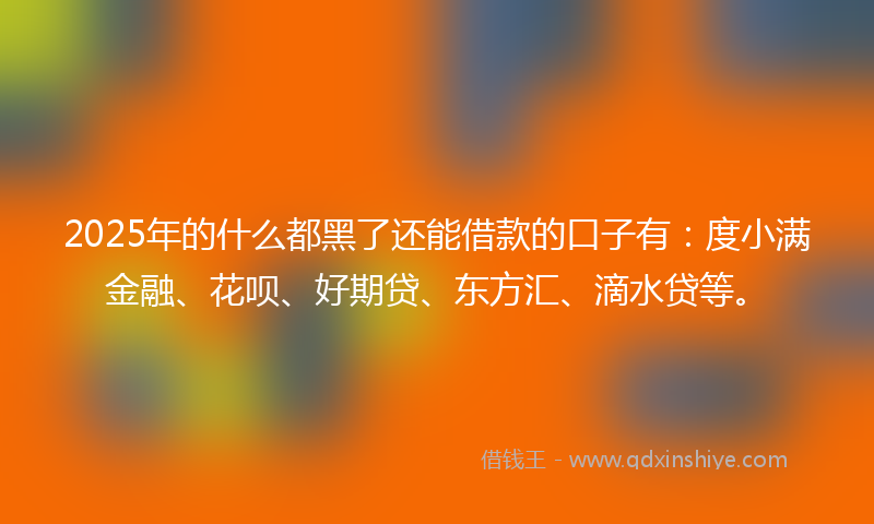 2025年的什么都黑了还能借款的口子有：度小满金融、花呗、好期贷、东方汇、滴水贷等。