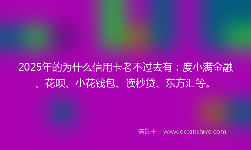 2025年的为什么信用卡老不过去有：度小满金融、花呗、小花钱包、读秒贷、东方汇等。