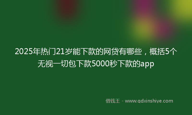 2025年热门21岁能下款的网贷有哪些，概括5个无视一切包下款5000秒下款的app