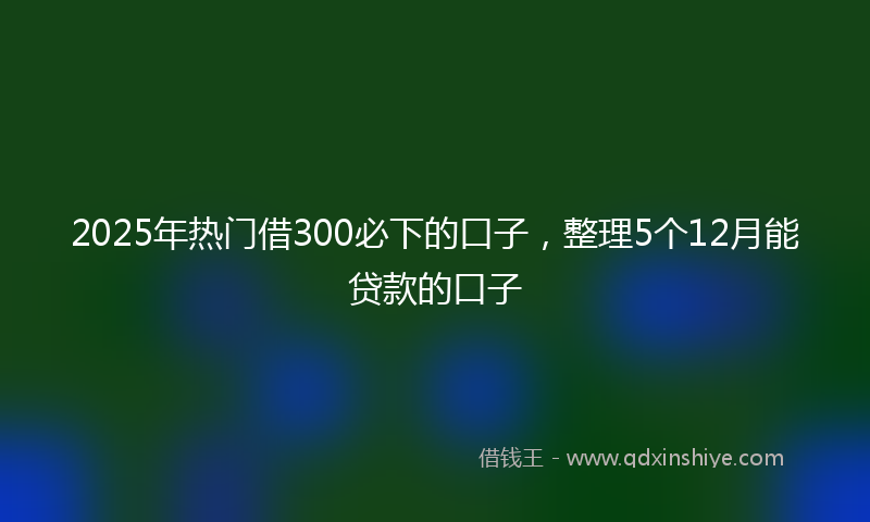 2025年热门借300必下的口子，整理5个12月能贷款的口子