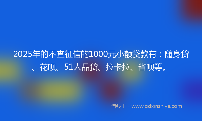 2025年的不查征信的1000元小额贷款有：随身贷、花呗、51人品贷、拉卡拉、省呗等。