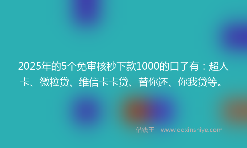 2025年的5个免审核秒下款1000的口子有：超人卡、微粒贷、维信卡卡贷、替你还、你我贷等。
