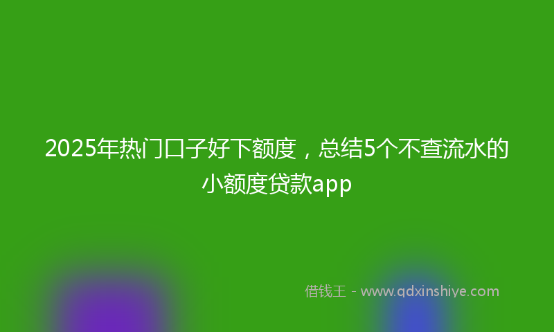 2025年热门口子好下额度，总结5个不查流水的小额度贷款app
