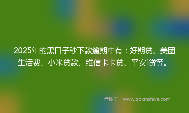 2025年的黑口子秒下款逾期中有：好期贷、美团生活费、小米贷款、维信卡卡贷、平安i贷等。