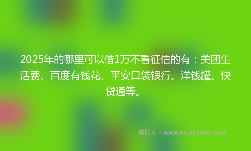 2025年的哪里可以借1万不看征信的有：美团生活费、百度有钱花、平安口袋银行、洋钱罐、快贷通等。