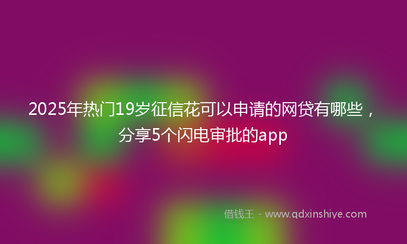 2025年热门19岁征信花可以申请的网贷有哪些，分享5个闪电审批的app